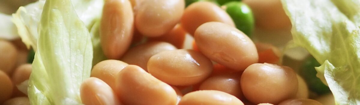 大豆食品はがんリスクを下げるピラミッドの頂点!?