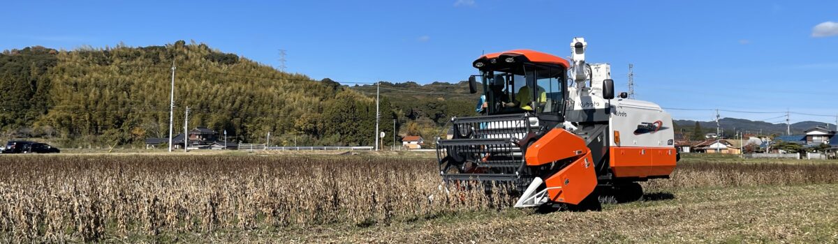 グループ農場で大豆の収穫が無事終了　アントニーファーム通信②